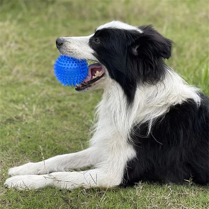 CANBOUN Pet Dog Toys Cat Puppy Sounding Toy Polka Squeaky Tooth Cleaning Ball