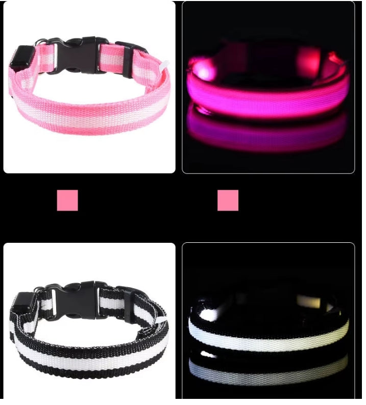 Nylon LED Night Safety Flashing Glow In The Dark Dog Leash Dogs Luminous Fluorescent Pet Dog Collar
