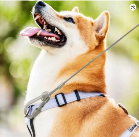 Double-Headed Dog Tie out Cable Leash with Metal Buckle Anti-Rust Steel Wire